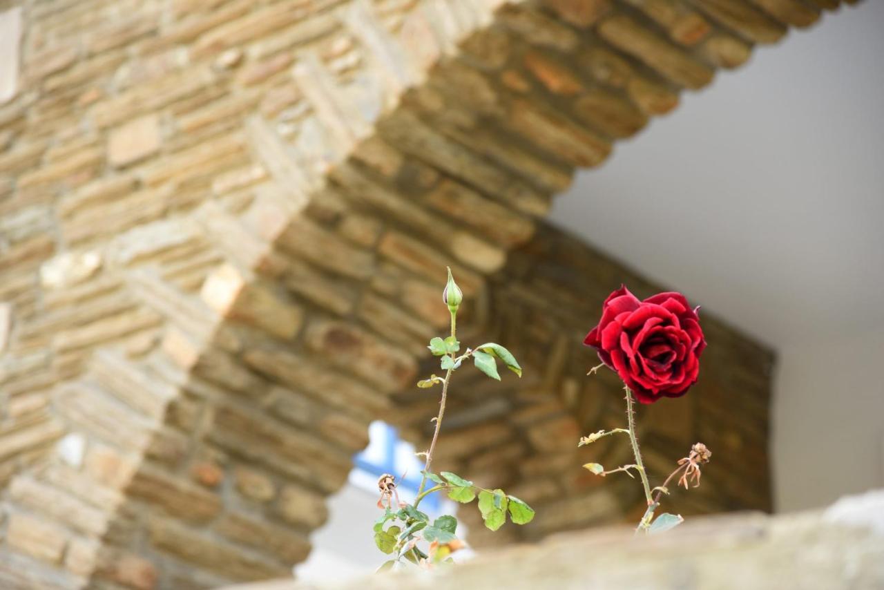 Andros Guesthouses Εξωτερικό φωτογραφία